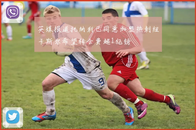 英媒报道托纳利已同意加盟热刺纽卡斯尔希望转会费超1亿镑
