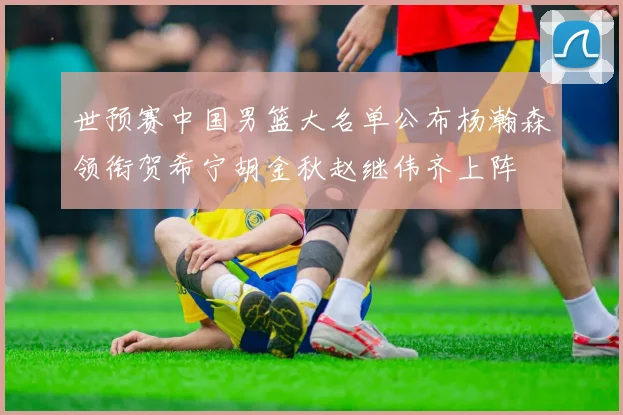 世预赛中国男篮大名单公布杨瀚森领衔贺希宁胡金秋赵继伟齐上阵